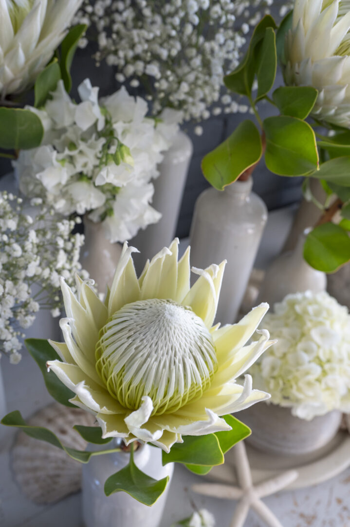 Specials flowers