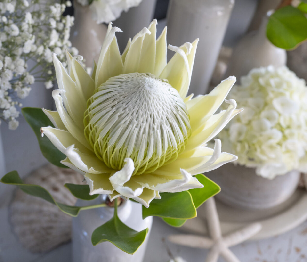 Specials flowers