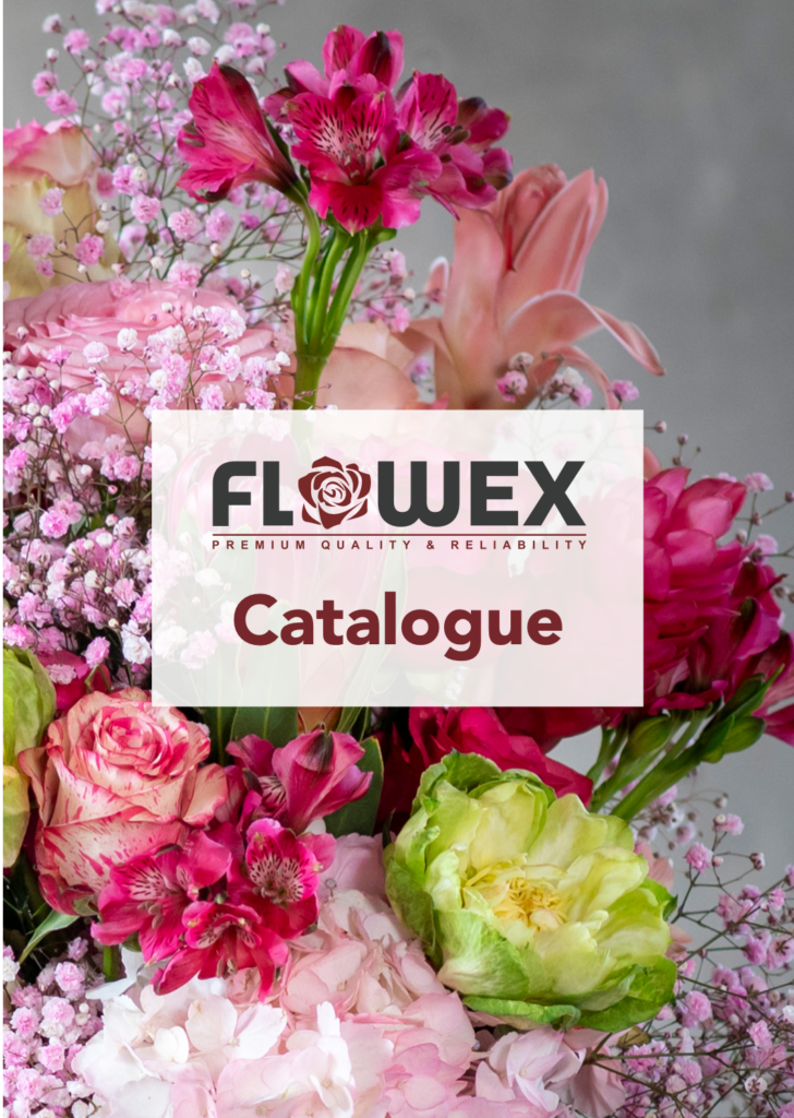 Flowex catalogus ecuador roses and other fresh cut flowers