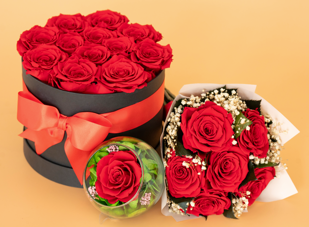 Preserved roses RoseAmor