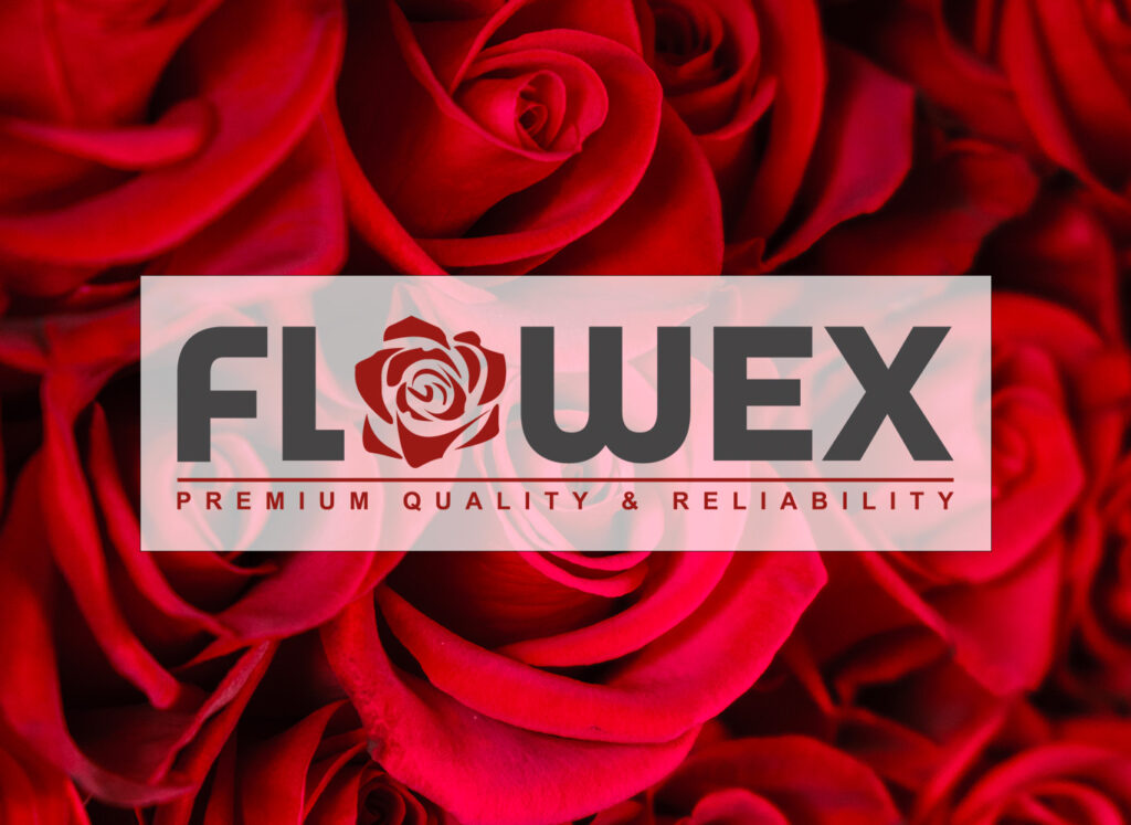 Flowex Ecuador flowers